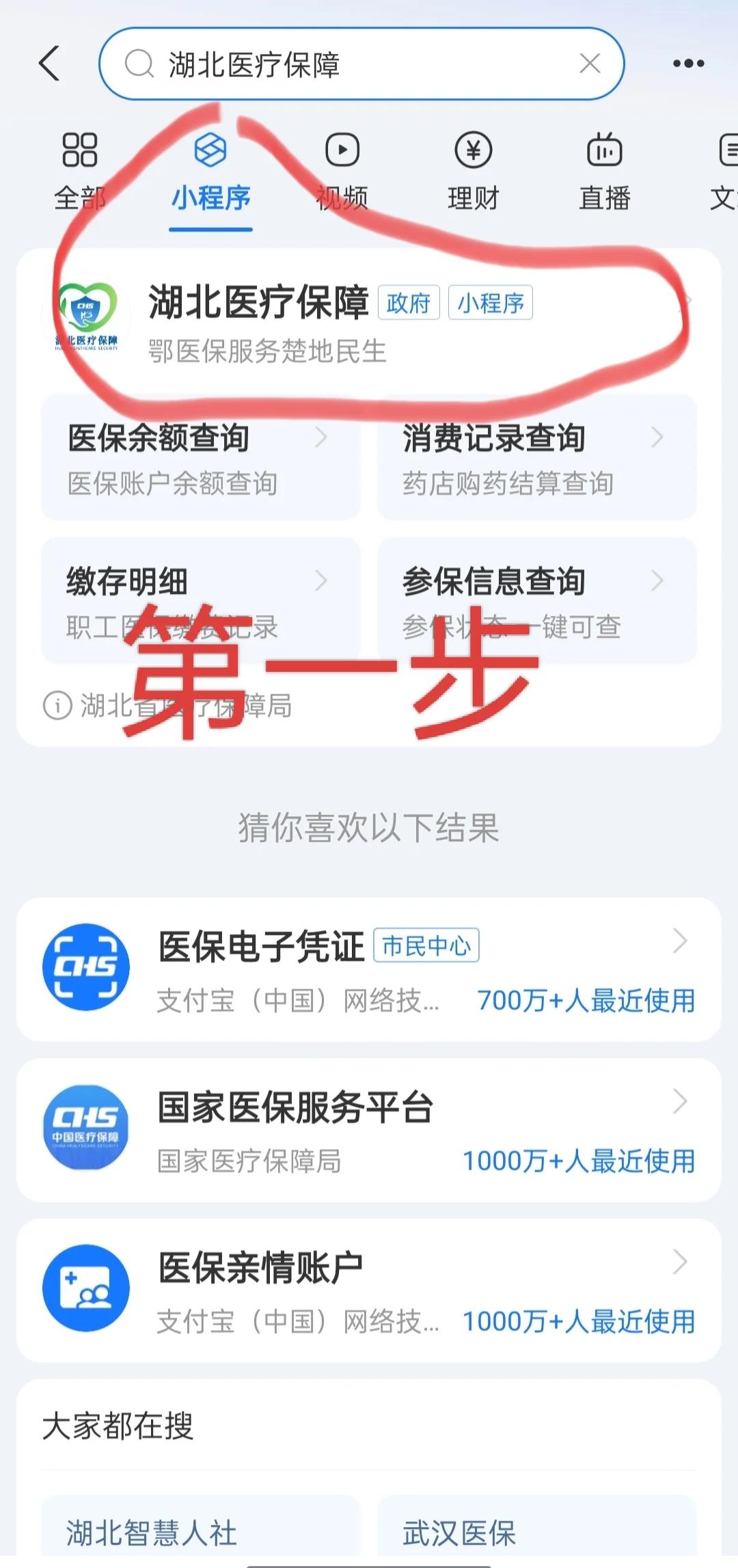 拉萨医保网上怎么缴费(孩子居民医保网上怎么缴费)